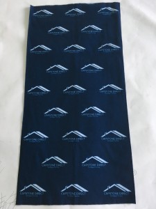 Custom Promotional Product Example